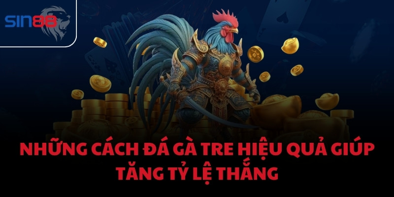 Những cách đá gà tre hiệu quả giúp tăng tỷ lệ thắng