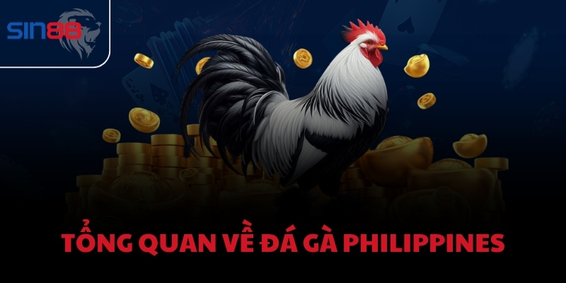 Tổng quan về Đá Gà Philippines